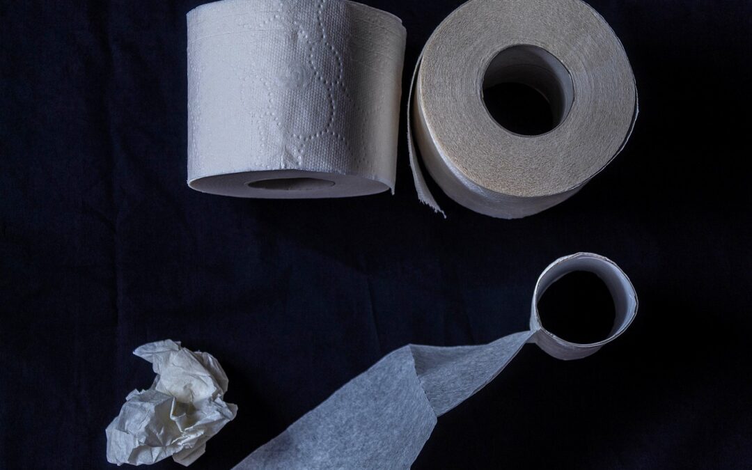 Rolverwarring: van hulpverlener naar homesitter?